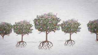 Kids and Character: How Culture Shapes Us