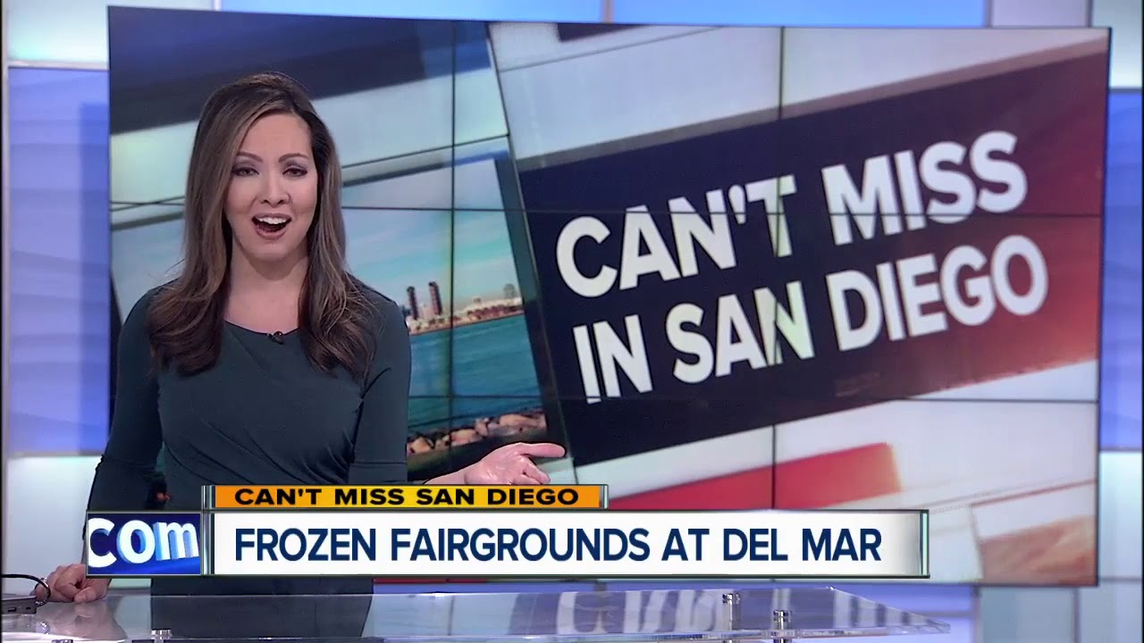 Holiday light displays around San Diego County YouTube