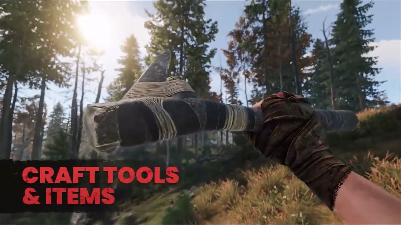 Top 5 Action Games You Can Play Right Now on SteamOra (2025)