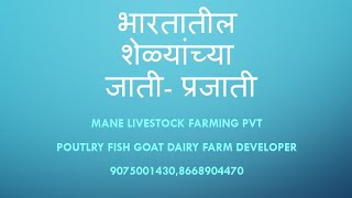 goat breeds in India भारतातील शेळ्यांच्या जाती
