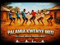 DJ CASH MEDIA SINGELI BEAT PALAMIA KWENYEMITI 2026 OFFERS AUDIO BY DJCASH MEDIA