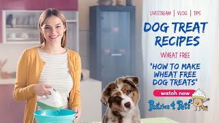 How to Make Wheat Free Dog Treats