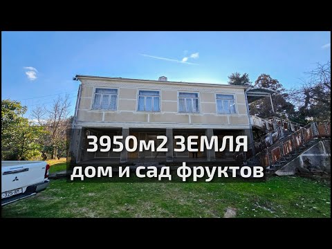 Дом и Земля 3950m2, Сад Фруктов, Батуми, Аджария