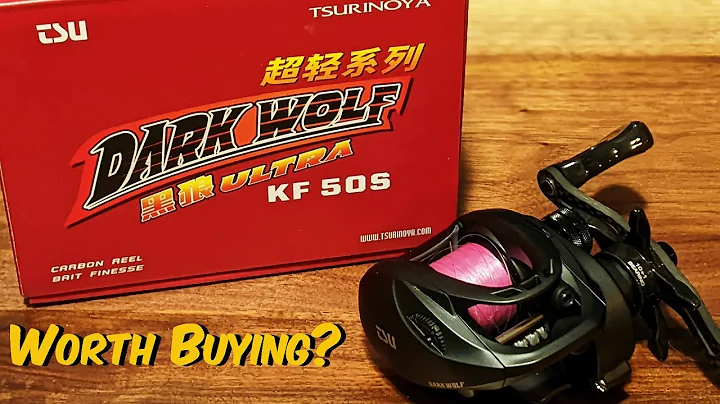 Should a BEGINNER buy The Tsurinoya Dark Wolf Ultra KF50S?  A BFS Reel Review.