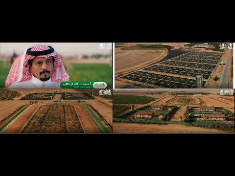 مزرعة آل طالب العضوية