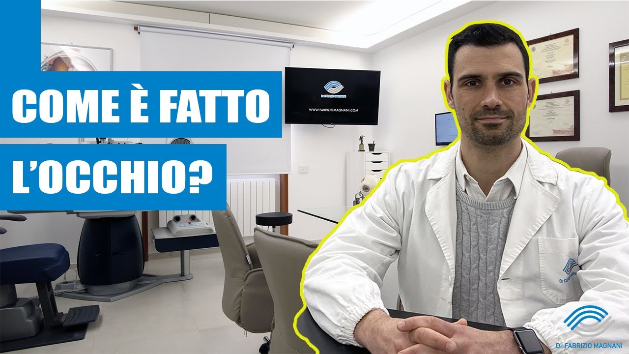 COME SONO FATTI I NOSTRI OCCHI? - L'anatomia oculare