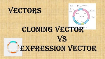 Cloning & Expression Vectors for Beginners #cloning vector #expression vector #biology #science