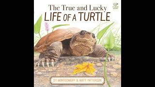 True and Lucky Life of a Turtle - Sy Montgomery