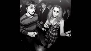 Mr Bird - Perception