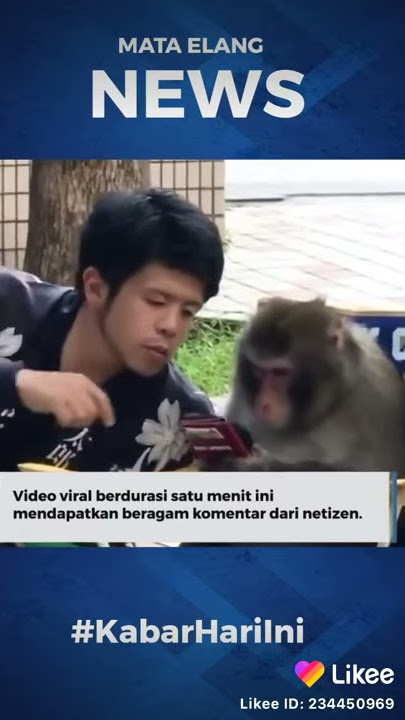 monyet bisik bisik 🤣
