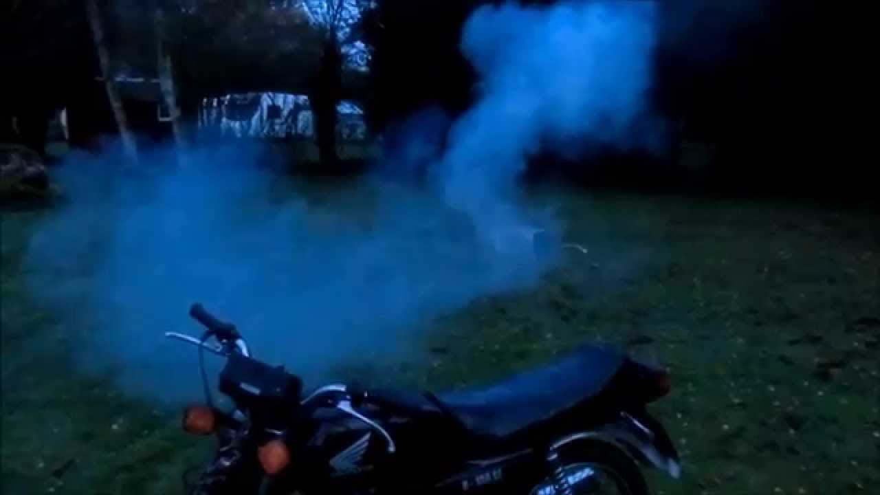 blow up your microwave Rook crow bird Scarer - YouTube