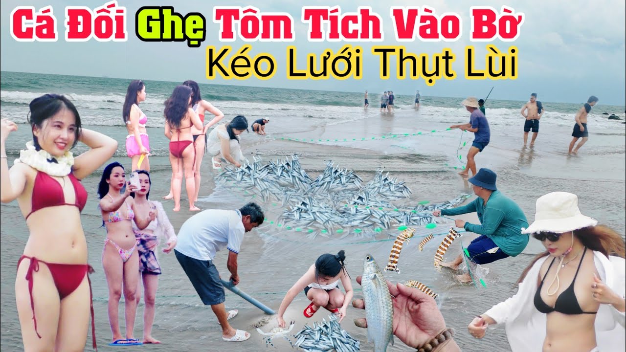 Mùa Cá Đối, Ghẹ, Tôm Tích vào bờ trúng kéo lưới thụt lùi ở bãi tắm quá đẹp Vũng Tàu