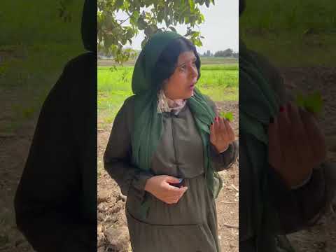 انا فلاحه يا اخويا بنت المنوفيه حلم منوفي ابن المنوفيه Shorts كوميدي 