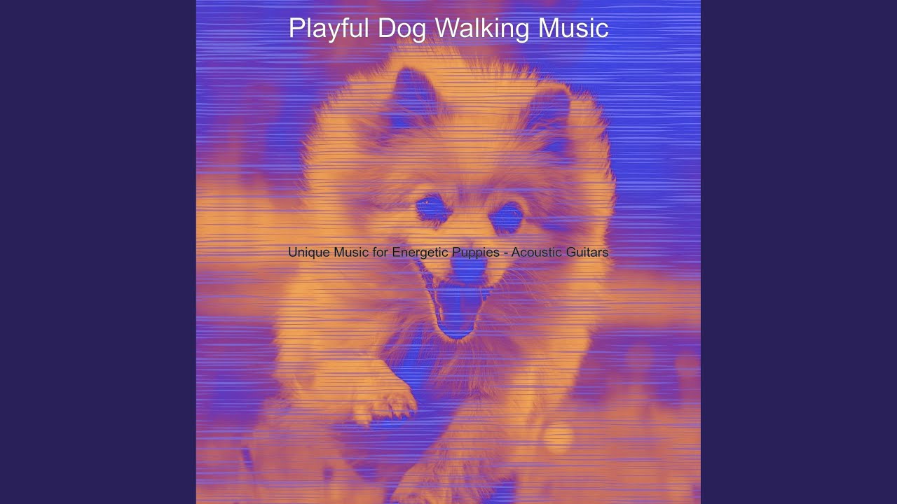 Warm Guitar Solos - Vibe for Afternoon Dog Walks