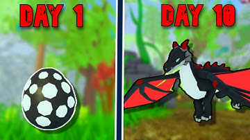 The Life of a Baby Dragon.. | Isles of Ravos