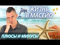 Жизнь в Масейо: плюсы и минусы. Вечное лето и лучшие пляжи Бразилии: оно Вам надо?