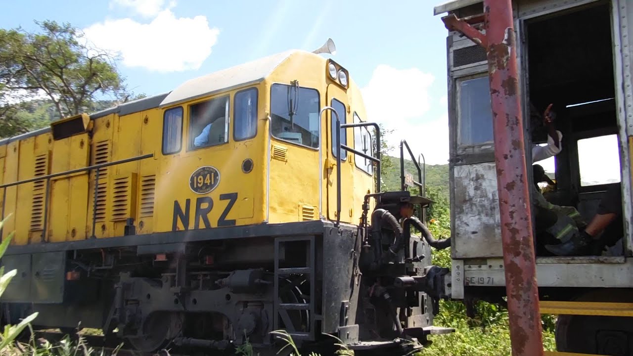 ⚪81 years old : 1941