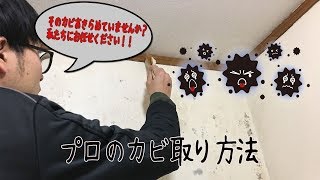 クロスにできたカビ取り方法