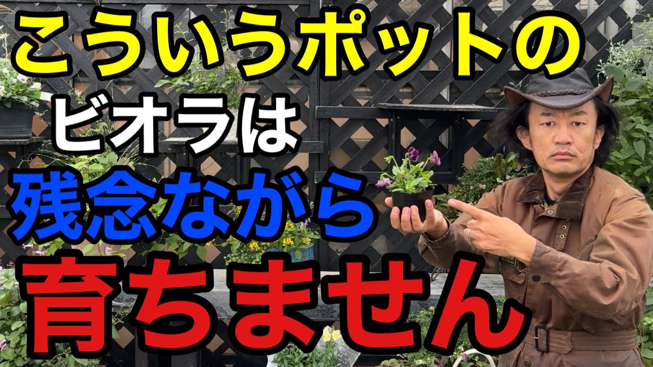 Caution] How to Choose Violas for Beginners Without Making a