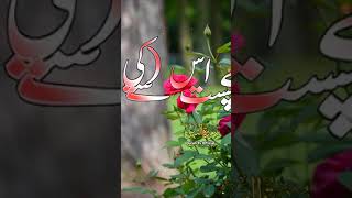 Surh Tuteen , With Urdu Translation