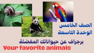 برجراف عن حيواناتك المفضلة your favourite animal / كونكت 5 خامسة الوحدة 9