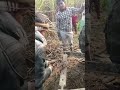 part 02 #farming #tractor