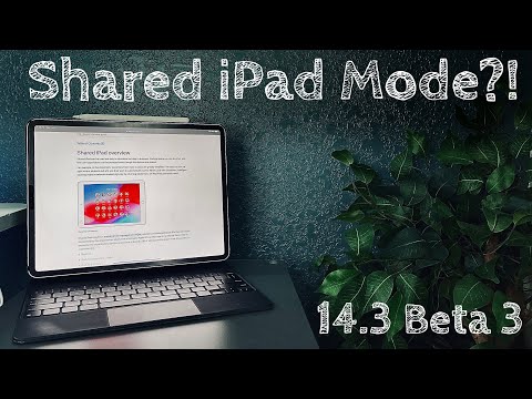 iPadOS 14.3 Beta 3: Shared iPad Mode??