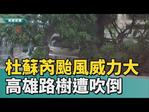 路樹倒塌 | 杜蘇芮颱風威力 高雄路樹遭吹倒多處停電