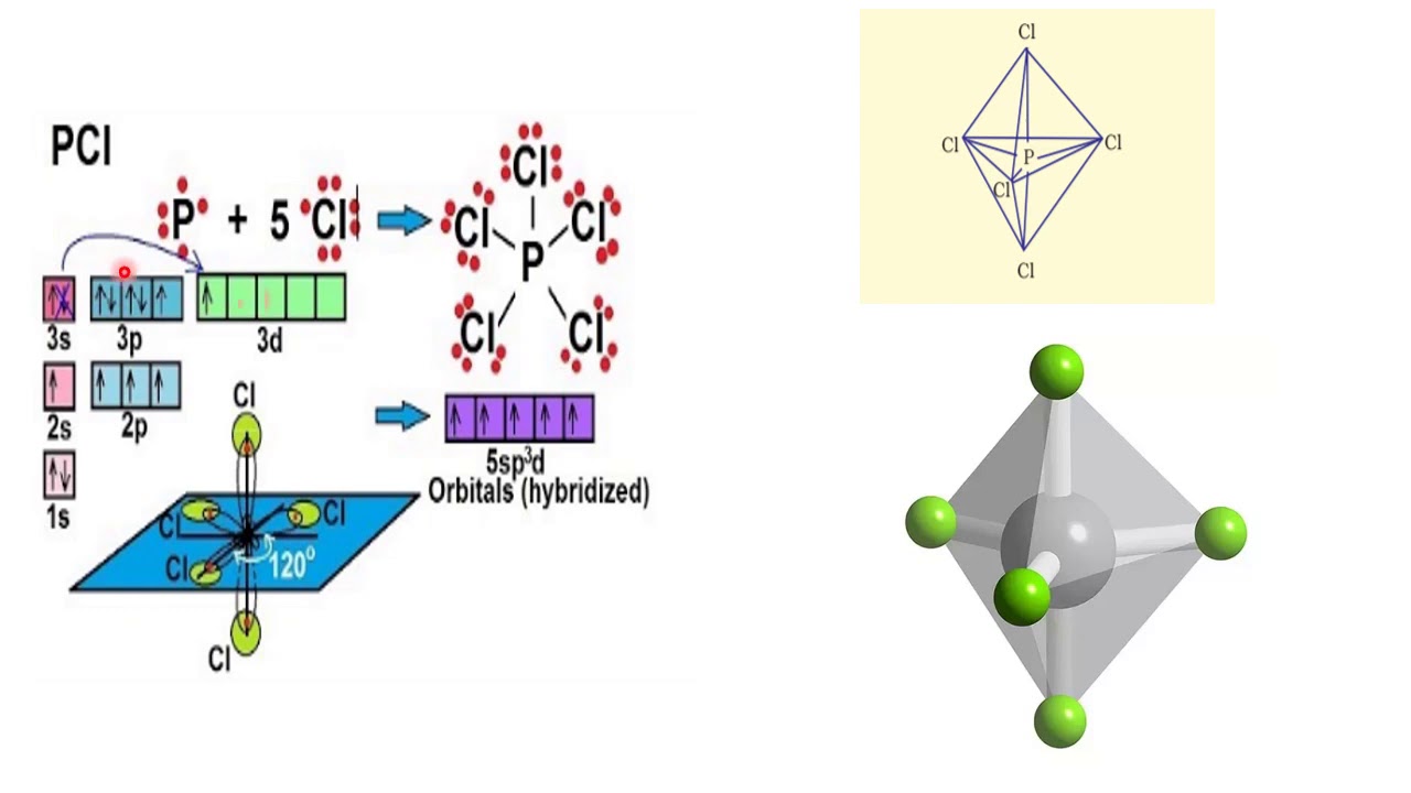 HYBRIDIZATION part 5 - YouTube