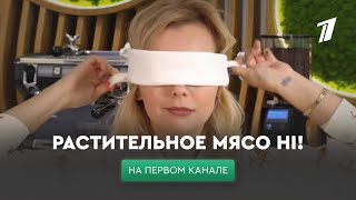 Растительное мясо Hi! на Первом канале