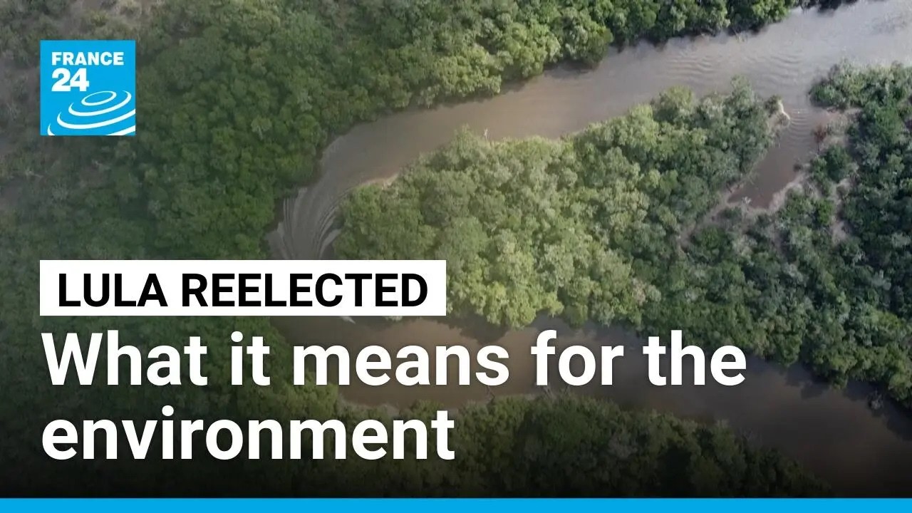 Lula's re-election brings hope for the Amazon, as deforestation drops to record low • FRANCE 24