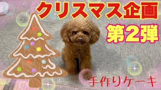 【簡単ケーキ】犬用手作りクリスマスケーキ　作り方　#dog  #toypoodle