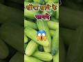 खीरा खाने के फ़ायदें | Khira ke fayde #kheera #cucumber #healthtips #viralvideo #ytshorts #shorts