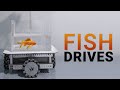 Can A Goldfish Drive a Car? Yes! But How? 🐠