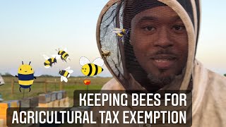 How to care for bees