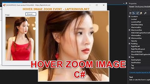 [C#] Hover to zoom in image winform