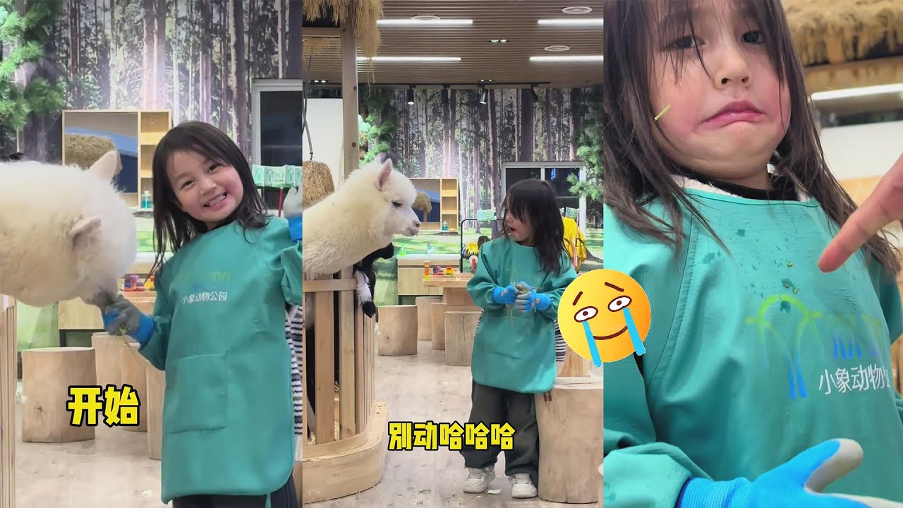 娇娇：扯平了🙂#萌娃 #funny  #王小麦的精神世界