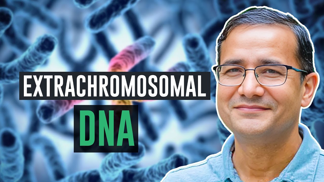 Этот учёный только что разгадал самую большую загадку рака.