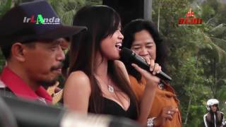 Suket Teki Vany Soraya Irlanda 2017