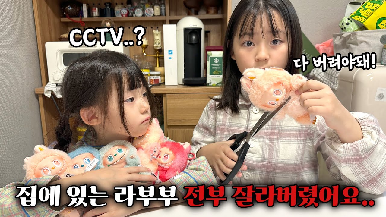 집에 있는 라부부를 전부 잘라서 버렸어요..! 무슨일일까요?