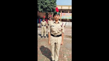 #Field #Signals #TSC #NCC #Training