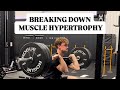 Breaking Down Muscle Hypertrophy