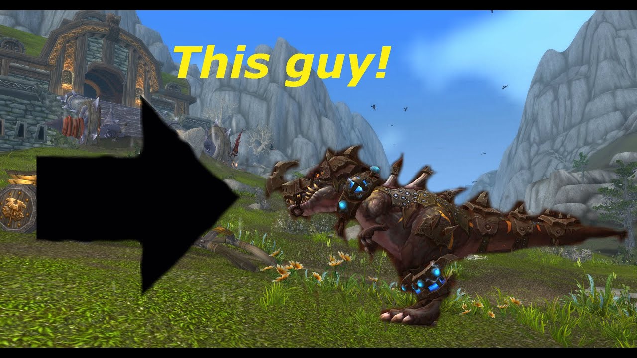 Beast Mastery Hunter pvp 7.0.3 my pet is so dumb ...