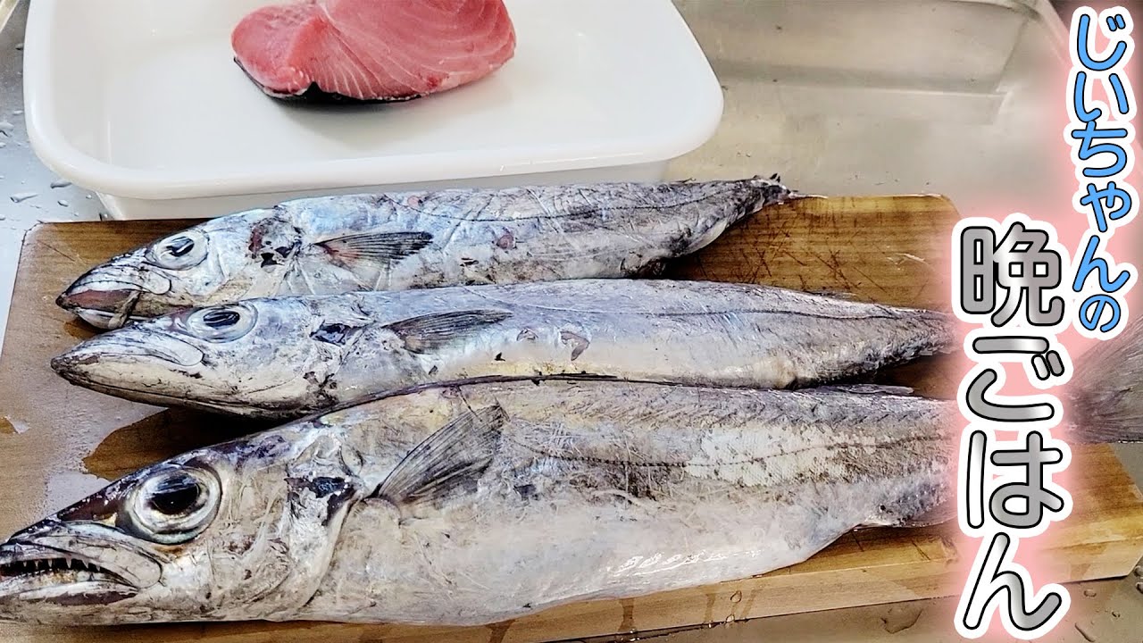 【爺ちゃんの晩ご飯】カゴカマスは全身大トロなのに安くて美味い！見かけたら即買いの魚を紹介します！