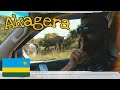 Что посмотреть в Руанде? День 2-3: Национальный парк Акагера