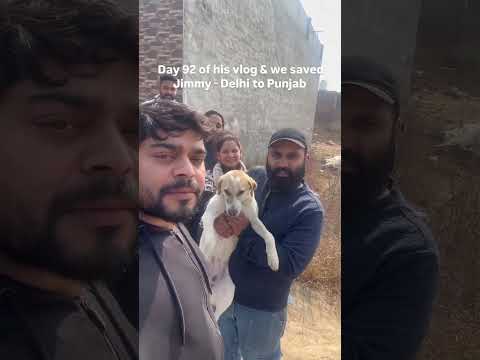 puppy Rescued in 92 days