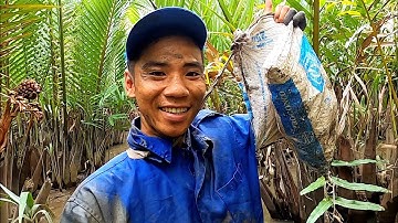 Trở Lại Nghề Săn Bắt Cua Biển Rừng Cần Giờ Cùng Câu Chuyện Buồn Của Nghề Mưu Sinh