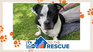 16 To The Rescue: Minnie