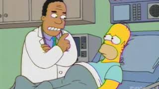 S14E17 - Dr Hibbert vs Sponge-Stealing Nurse