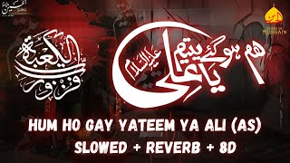 Hum Ho Gay Yateem Ya Ali | 21 Ramzan Noha | Slowed Reverb 8D | Tears Of Hussain  #yaali